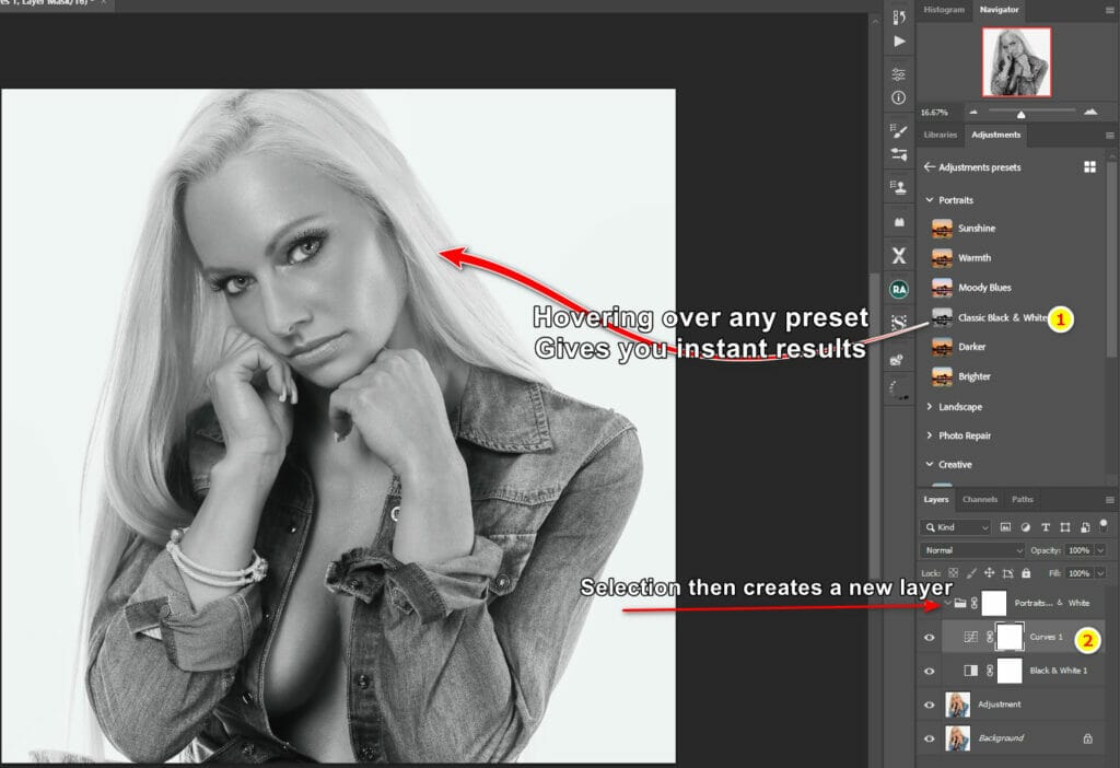 Photoshop Adjustment Preset Game Changer for Photographers 2 Visuals showing preset options
