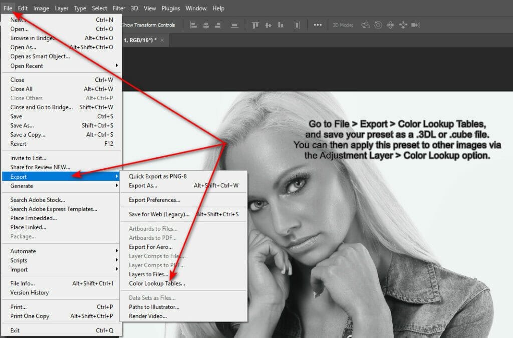 Photoshop Adjustment Preset Game Changer for Photographers 4 Visuals showing adjustment controls in Photoshop