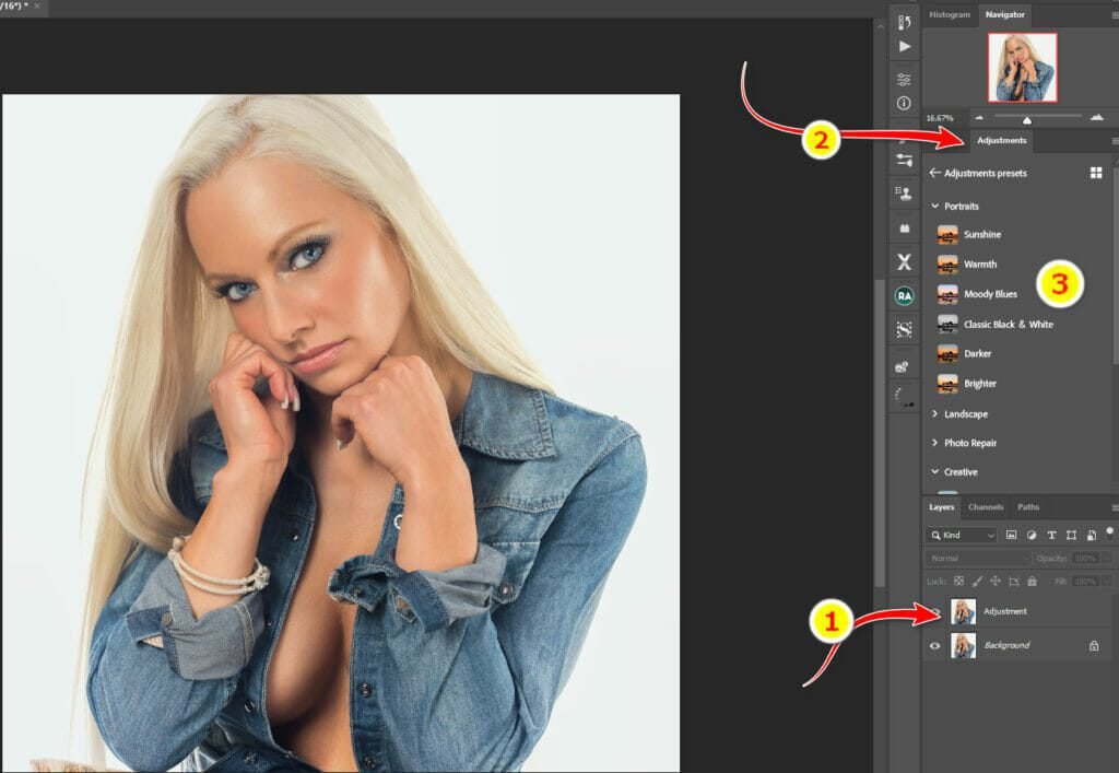 Photoshop Adjustment Preset Game Changer for Photographers 1 Adjustment Presets